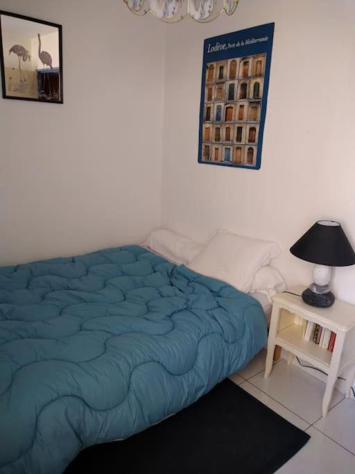 Vue Sur Canal Proximite Apartment Sete